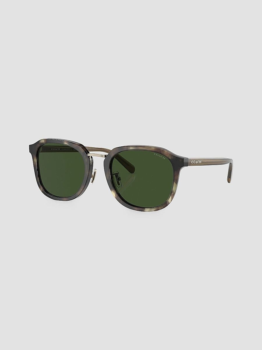 COACH Men's 54MM Round Sunglasses - Tan Havana Green