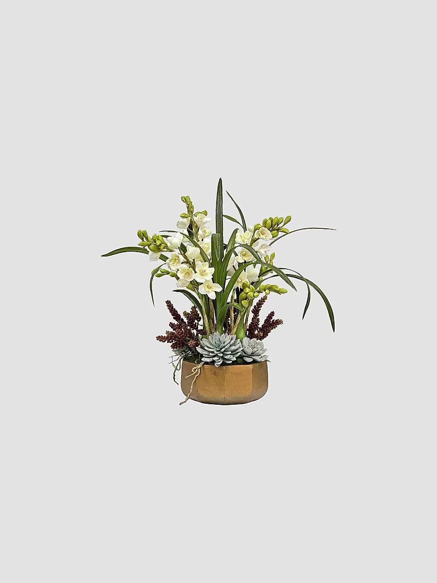 Everyday Newness Refresh Orchid Succulent In Golden Pot - White Green