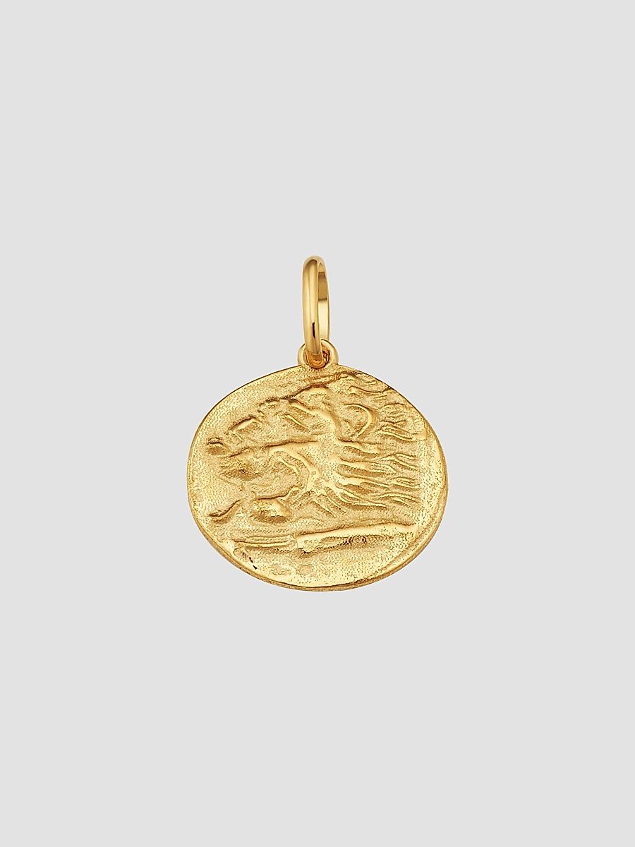 Women's Greek Lion Medallion Pendant Charm in 14K Yellow Gold - Gold