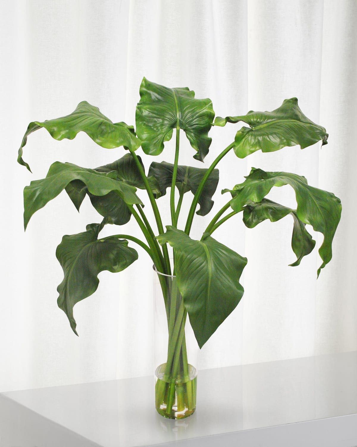 Calla Lily Leaf in Cylinder Vase