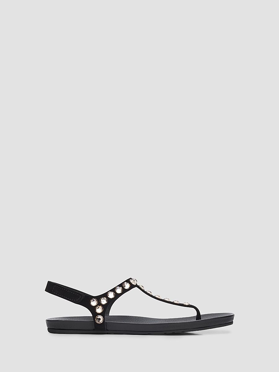 Women's Judith Embellished Suede T-Strap Sandals - Black Castoro Greige - Size 12