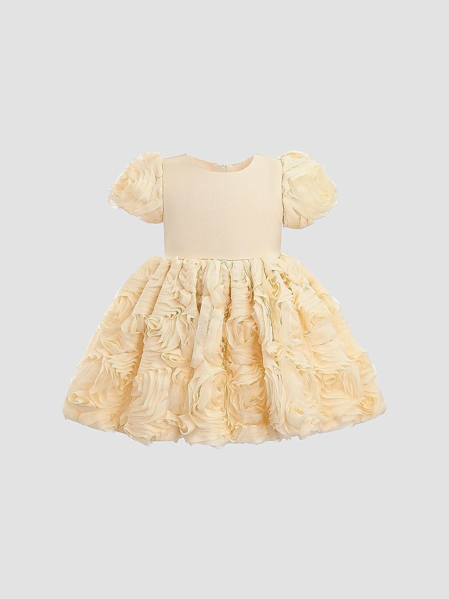 Tulleen Girl's Little Girl's Rosette Dress - Champagne - Size 36 Months