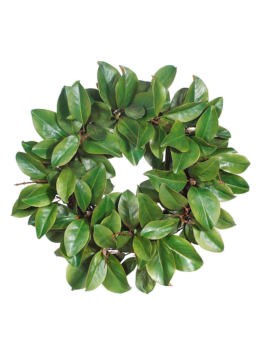 Faux Magnolia Leaf Twig Wreath - Green