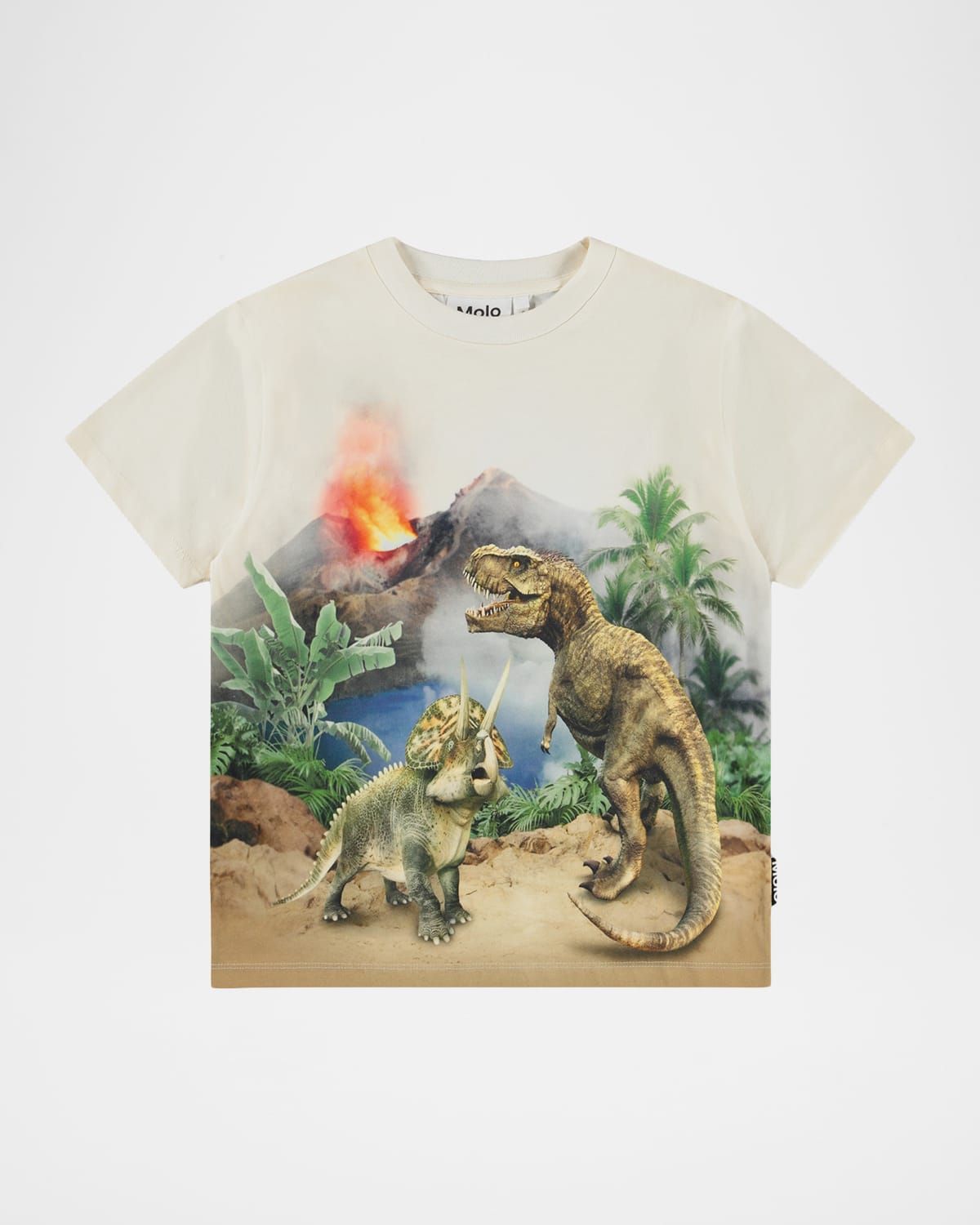 Boy & apos;s Riley Printed Short-Sleeve T-Shirt, Size 3-7