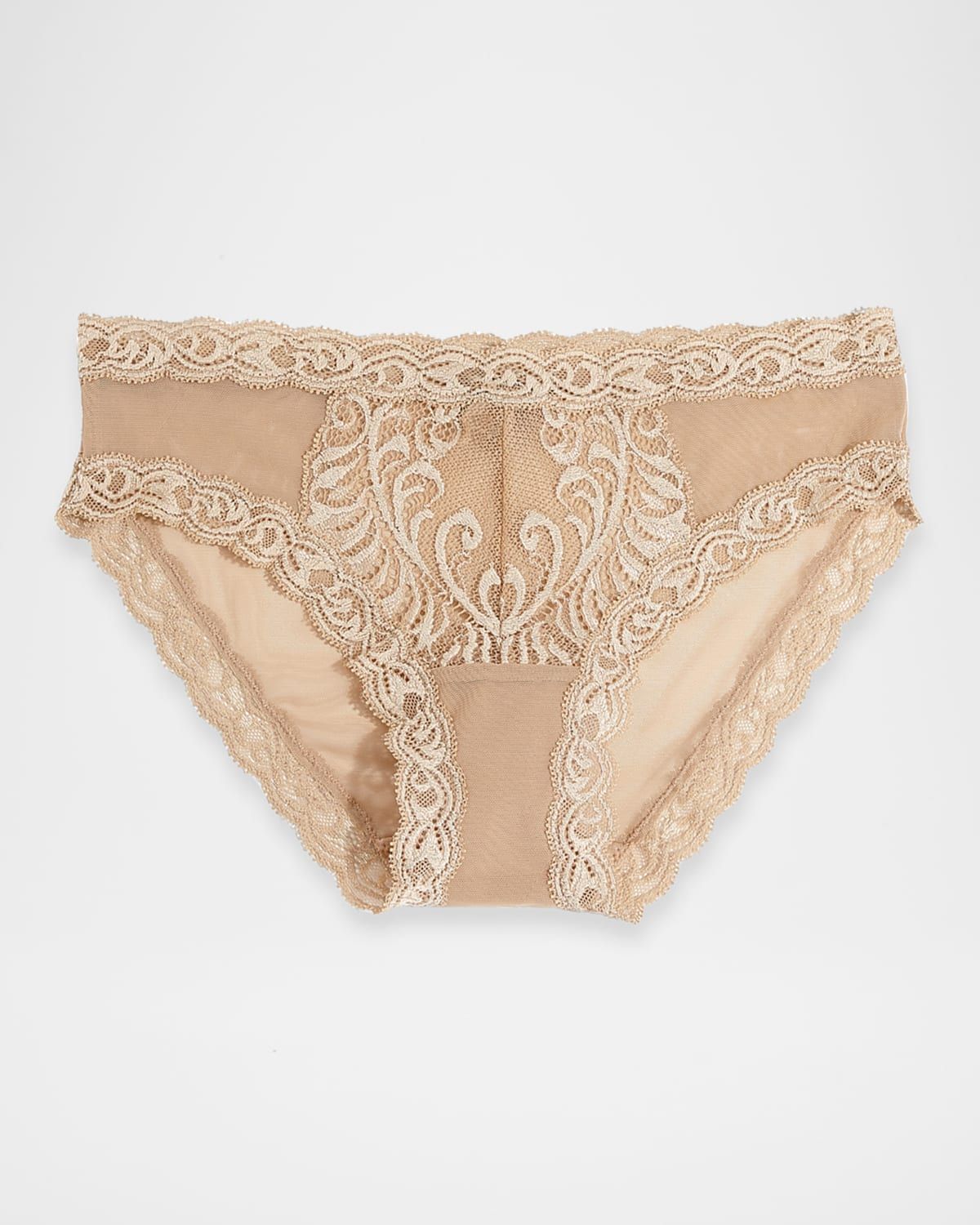 Feathers Lace-Trim and Mesh Hipster Briefs