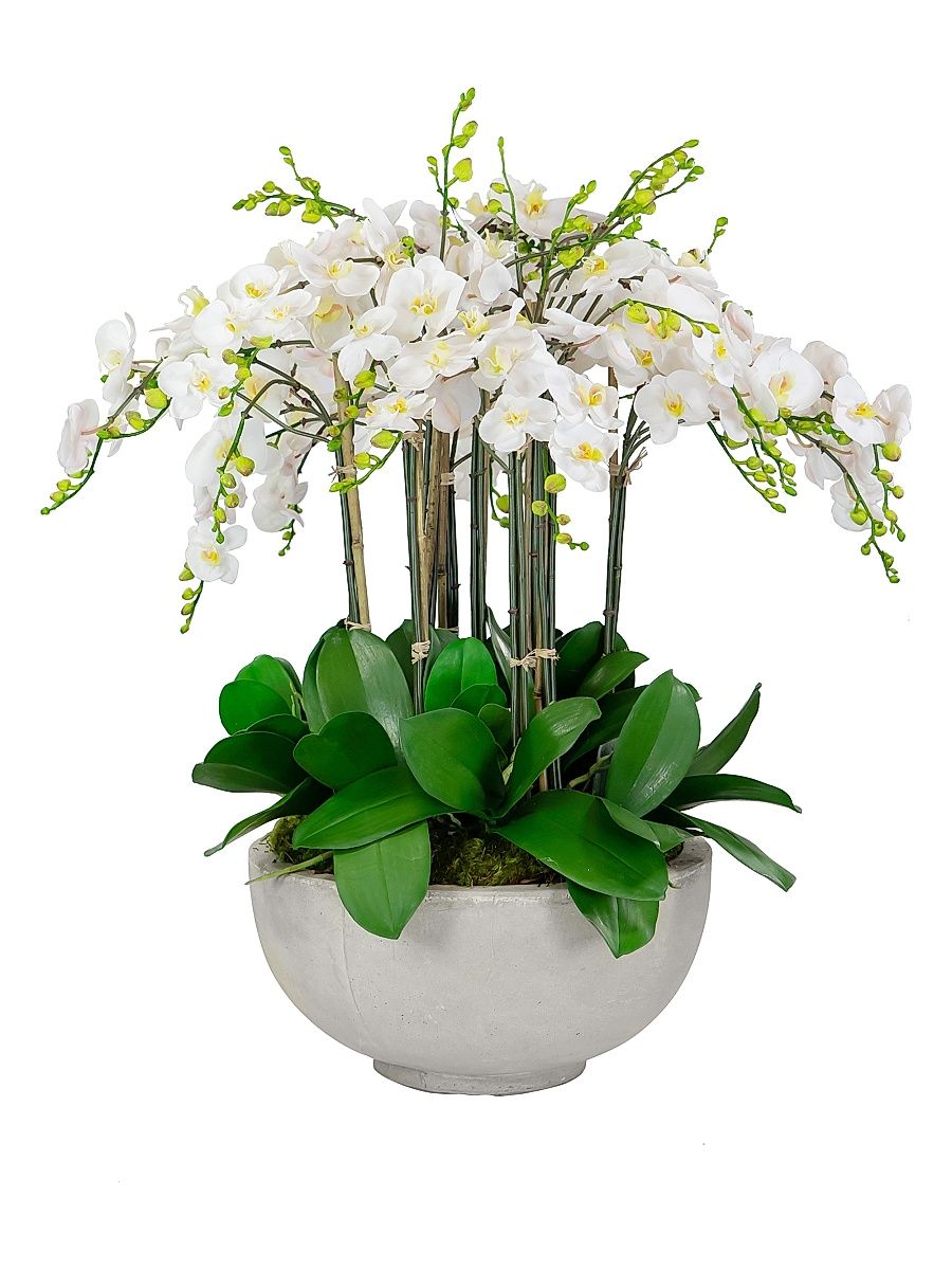 Everyday Newness Refresh Faux Orchid Arrangement - White