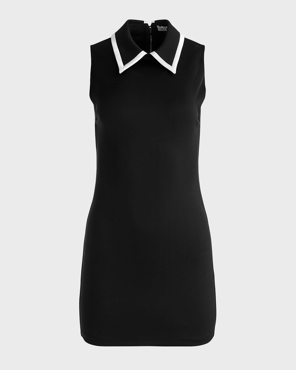 Wynell Collared Mini Dress