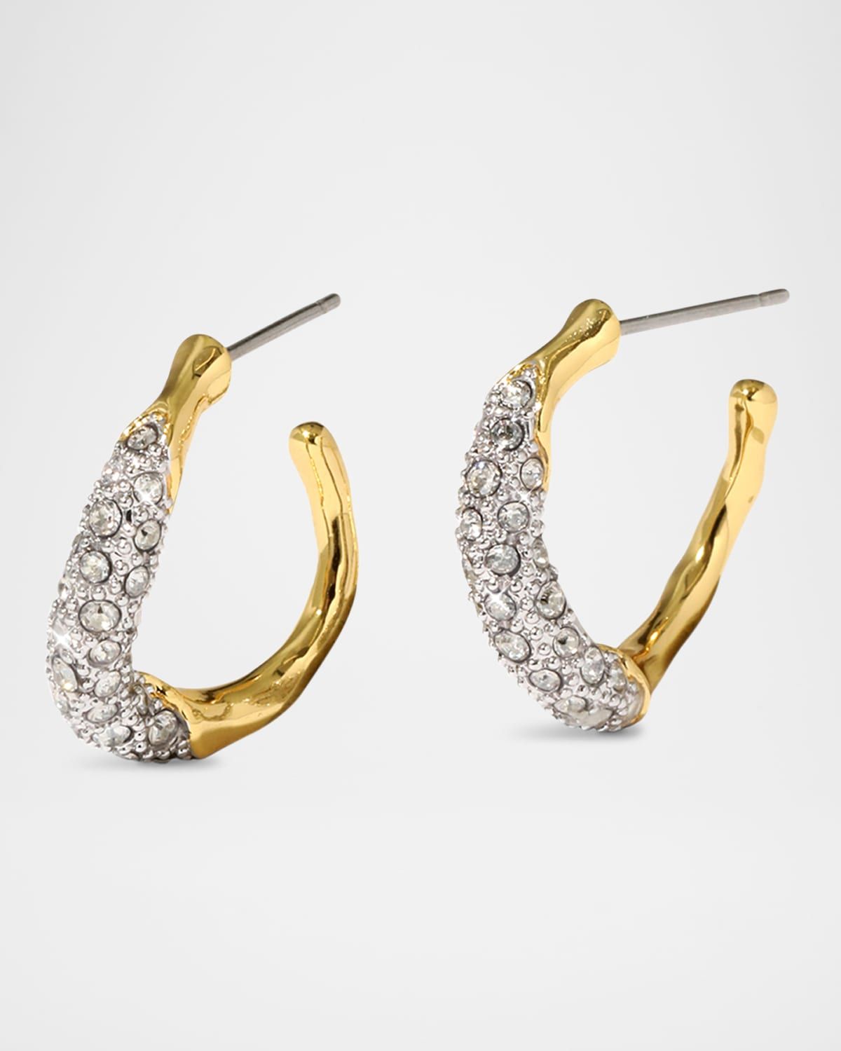 Solanales Crystal Twist Mini Hoop Earrings