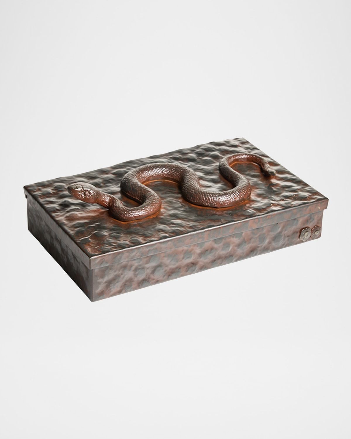 Nagini Snake Box