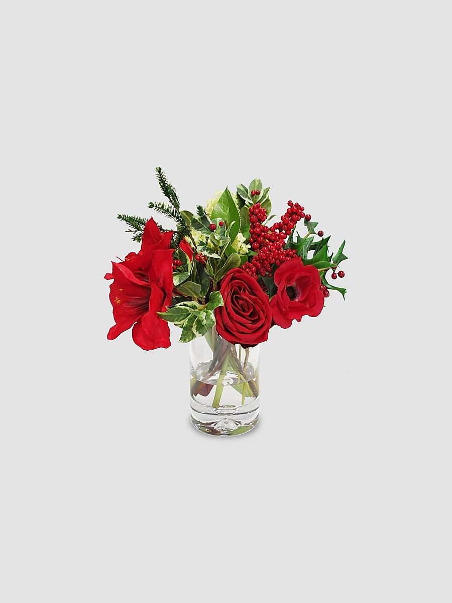 Holiday Amaryllis Snowball In Vase