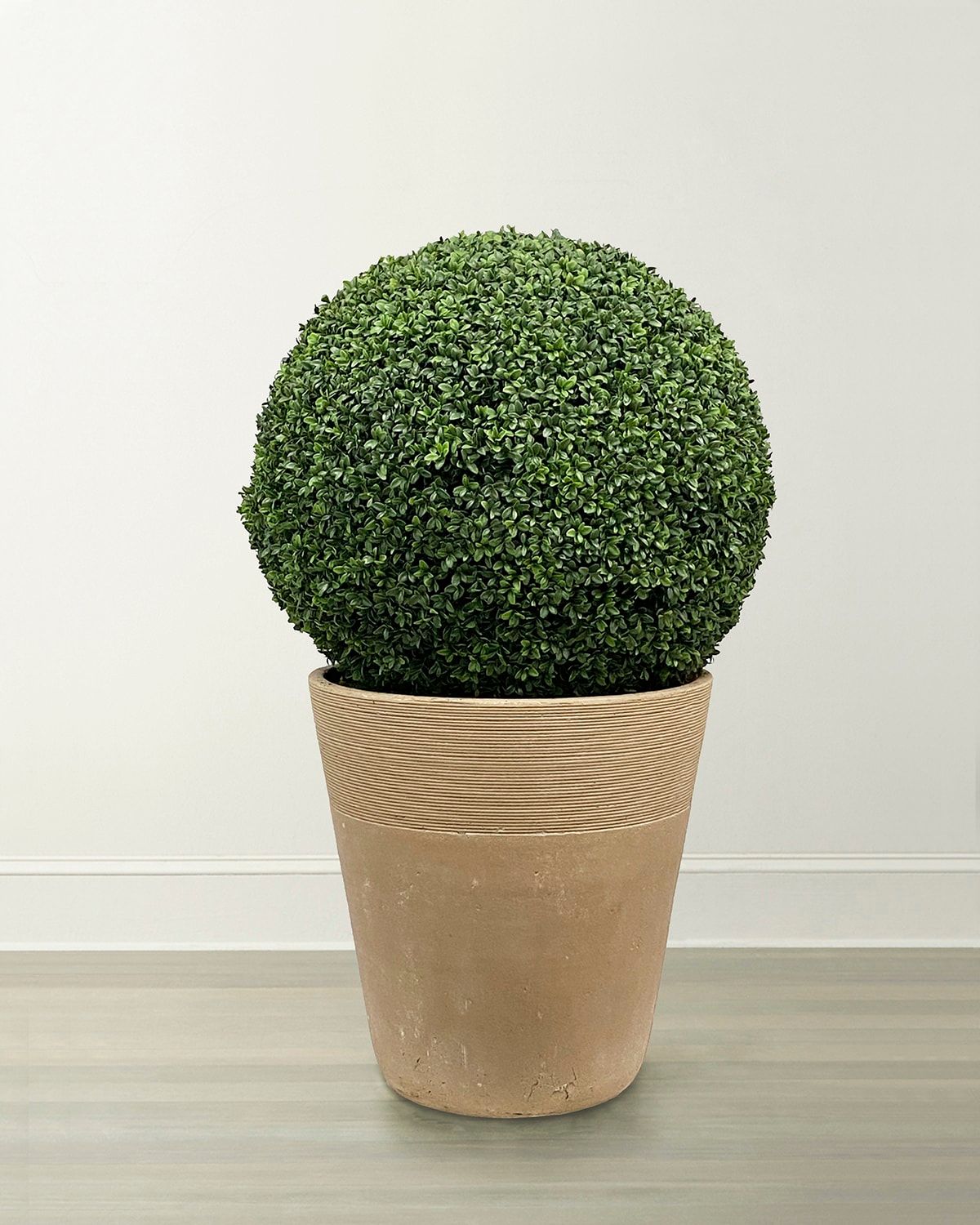 Boxwood Ball in Planter