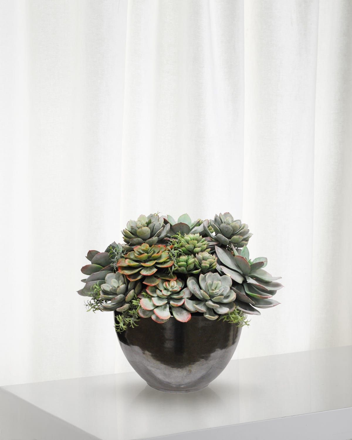 Mix Succulent in Ceramic Bowl