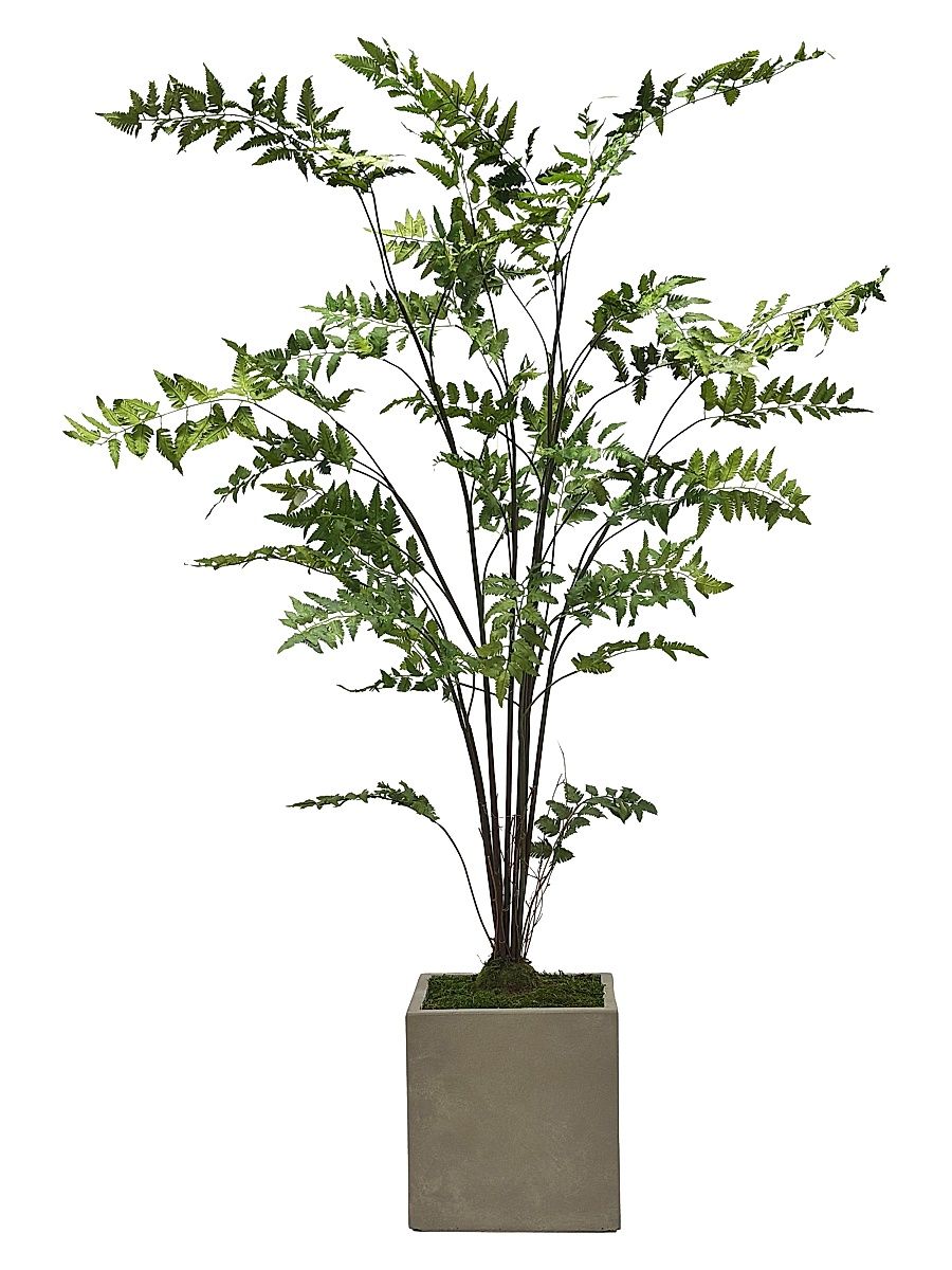 Everyday Newness Refresh Imitation Fern Tree In Square Vase - Green
