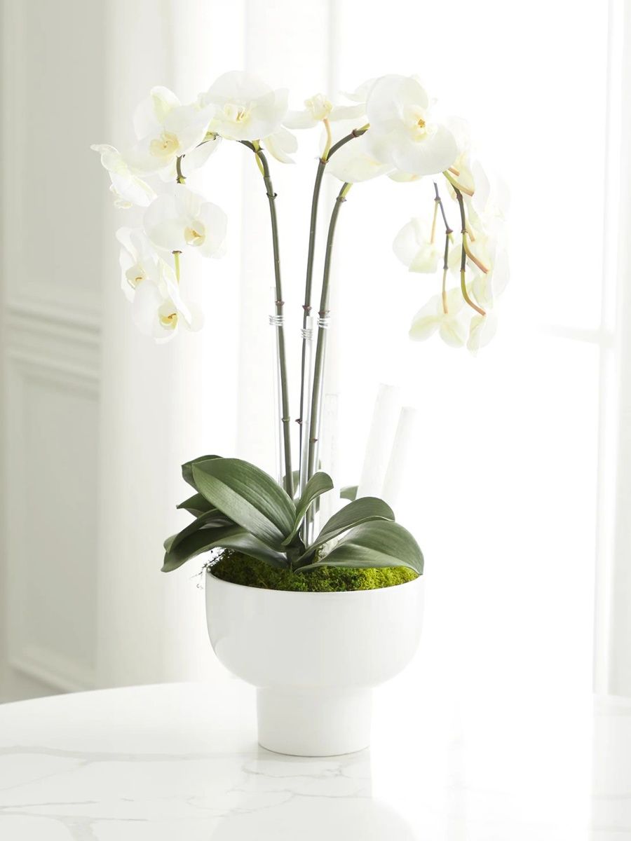 Artificial Triple Orchid Floral Arrangement - White