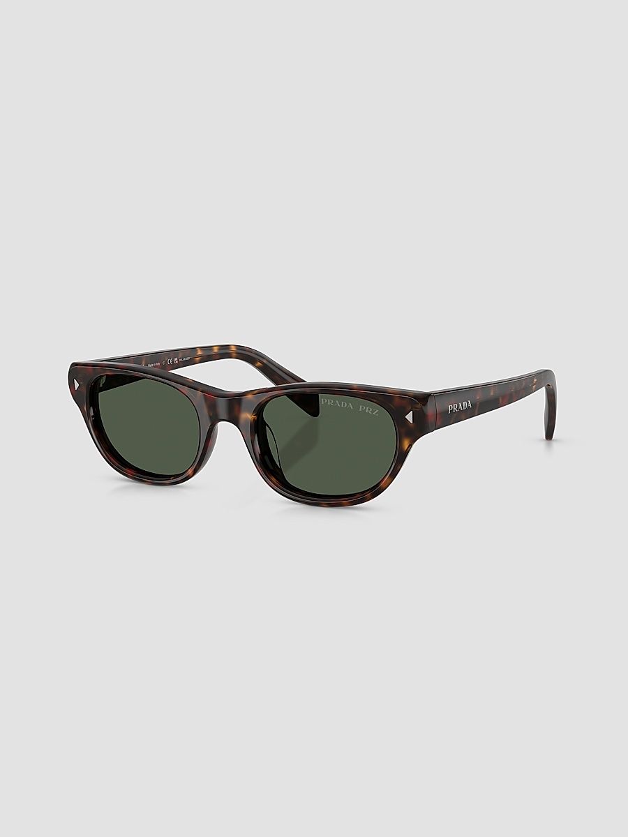 Women's C08SF 52MM Cat-Eye Sunglasses - Brown