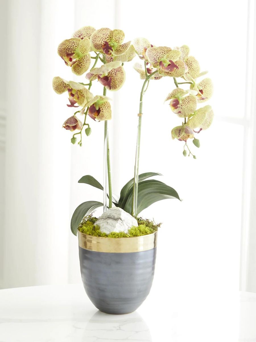 Artificial Double Orchid Flower Arrangement - Green