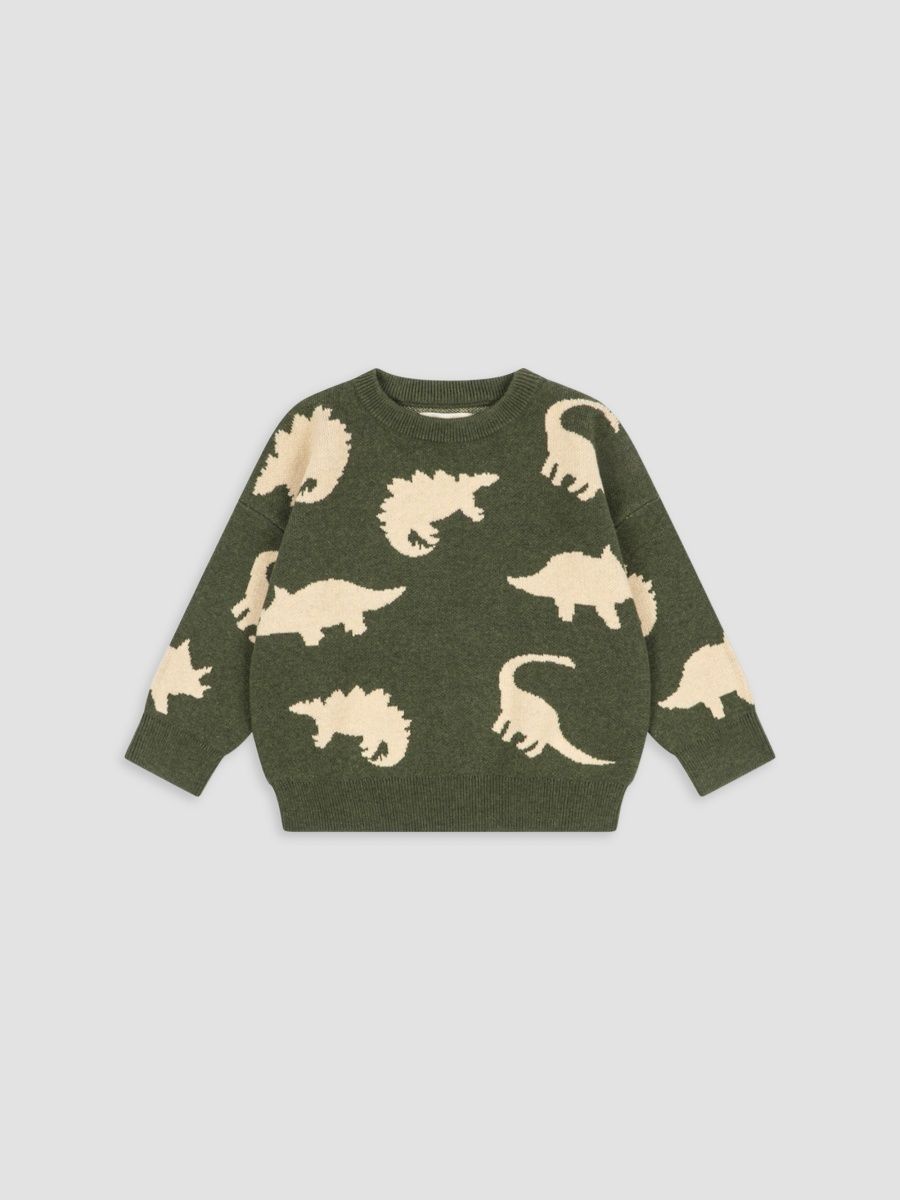 Konges Slojd Boy's Baby Boy's, Little Boy's & Boy's Lapis Dinosaur Cotton Sweatshirt - Dino Vert - Size 5