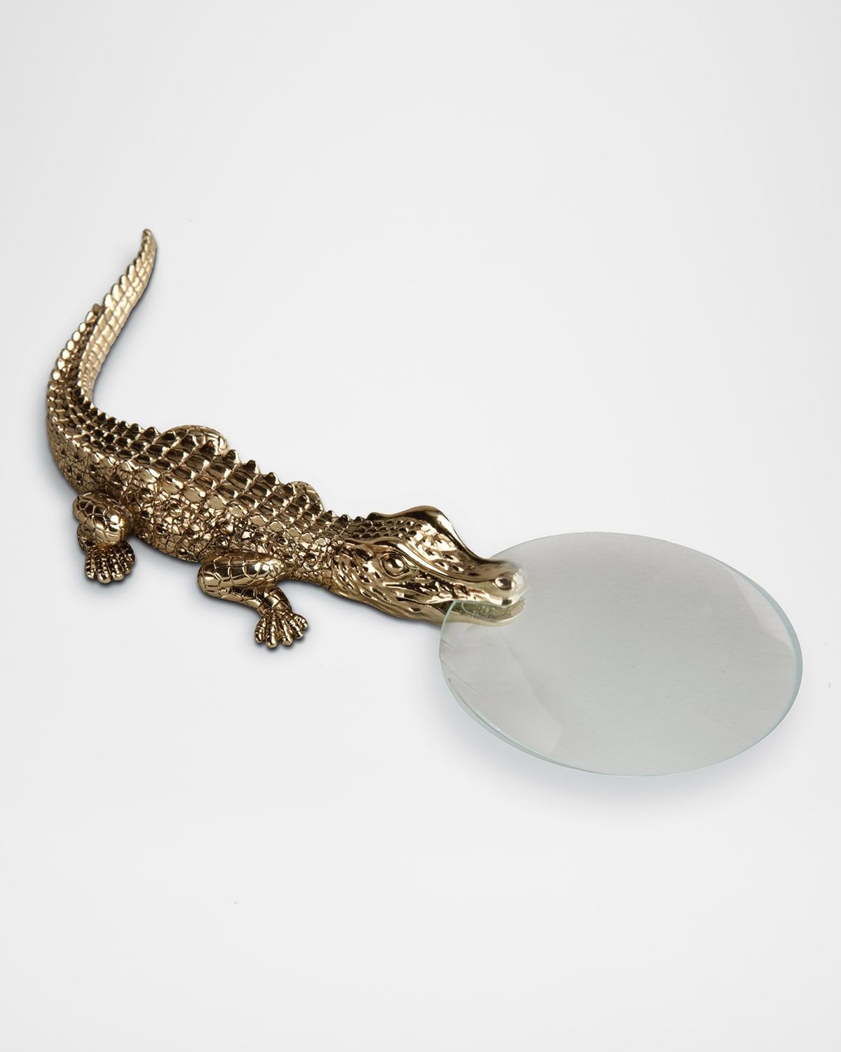 Crocodile Magnifying Glass