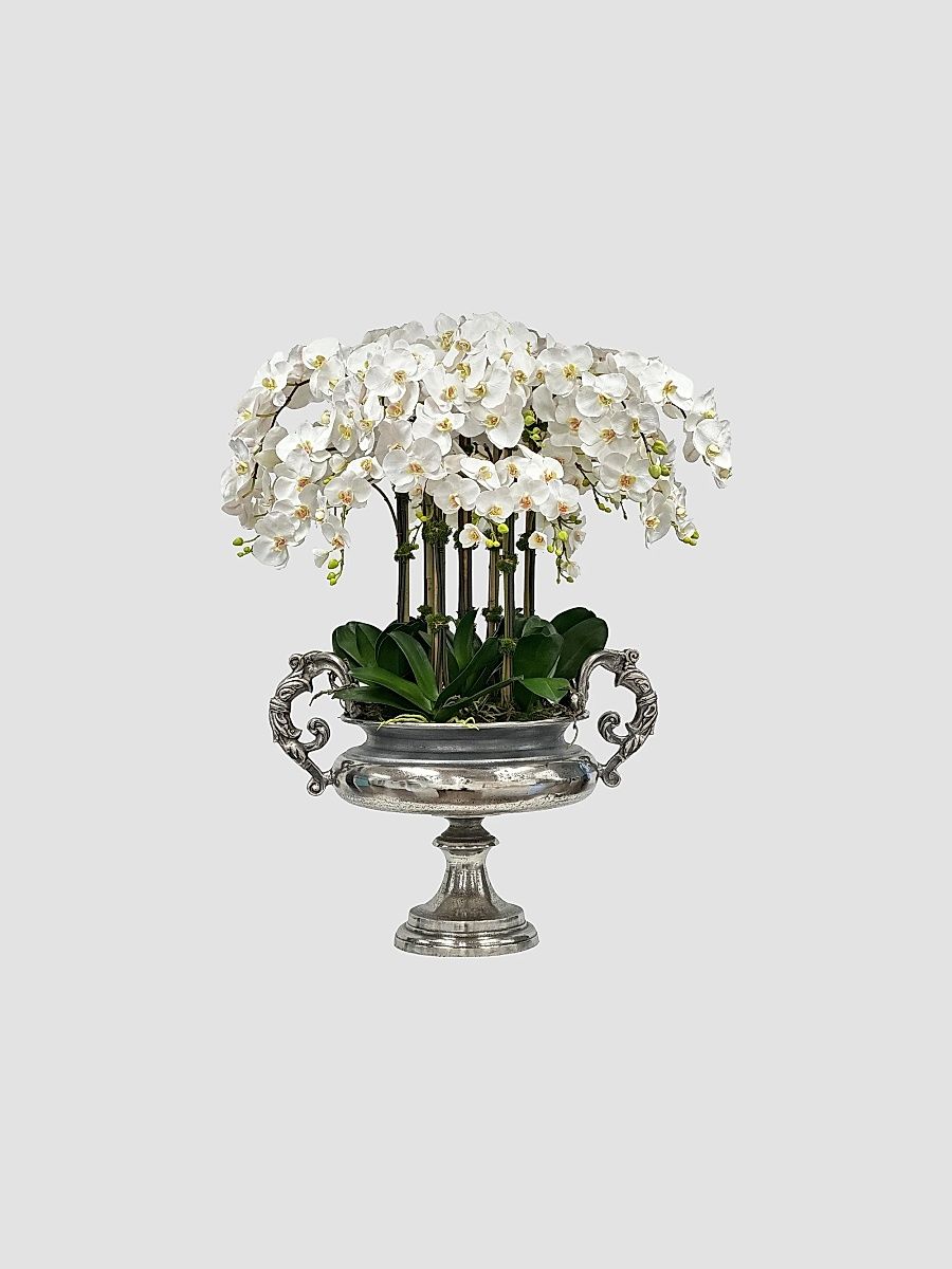 Everyday Newness Refresh Imitation Ocrhid In Silvertone Urn - Two Tone White