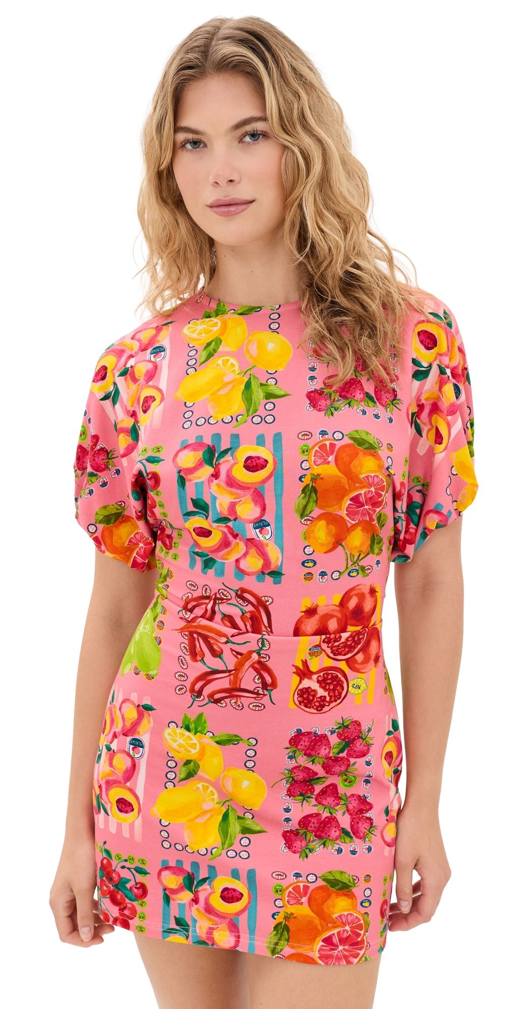 Never Fully Dressed Pink Fruit Stamps Mini Dress Pink 14