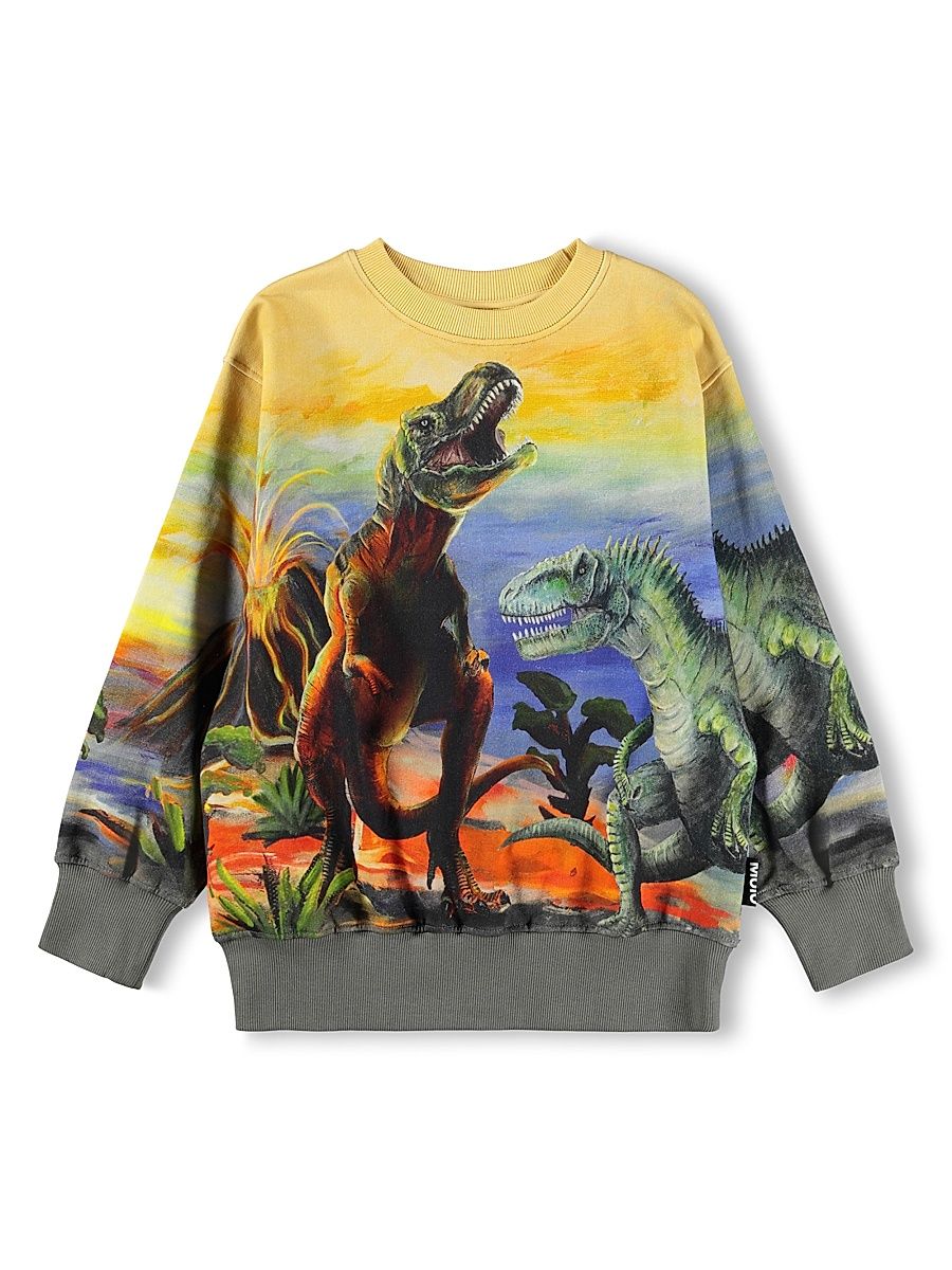 Little Boy's Dinosaur-Print Cotton Sweatshirt - Dino Art - Size 2