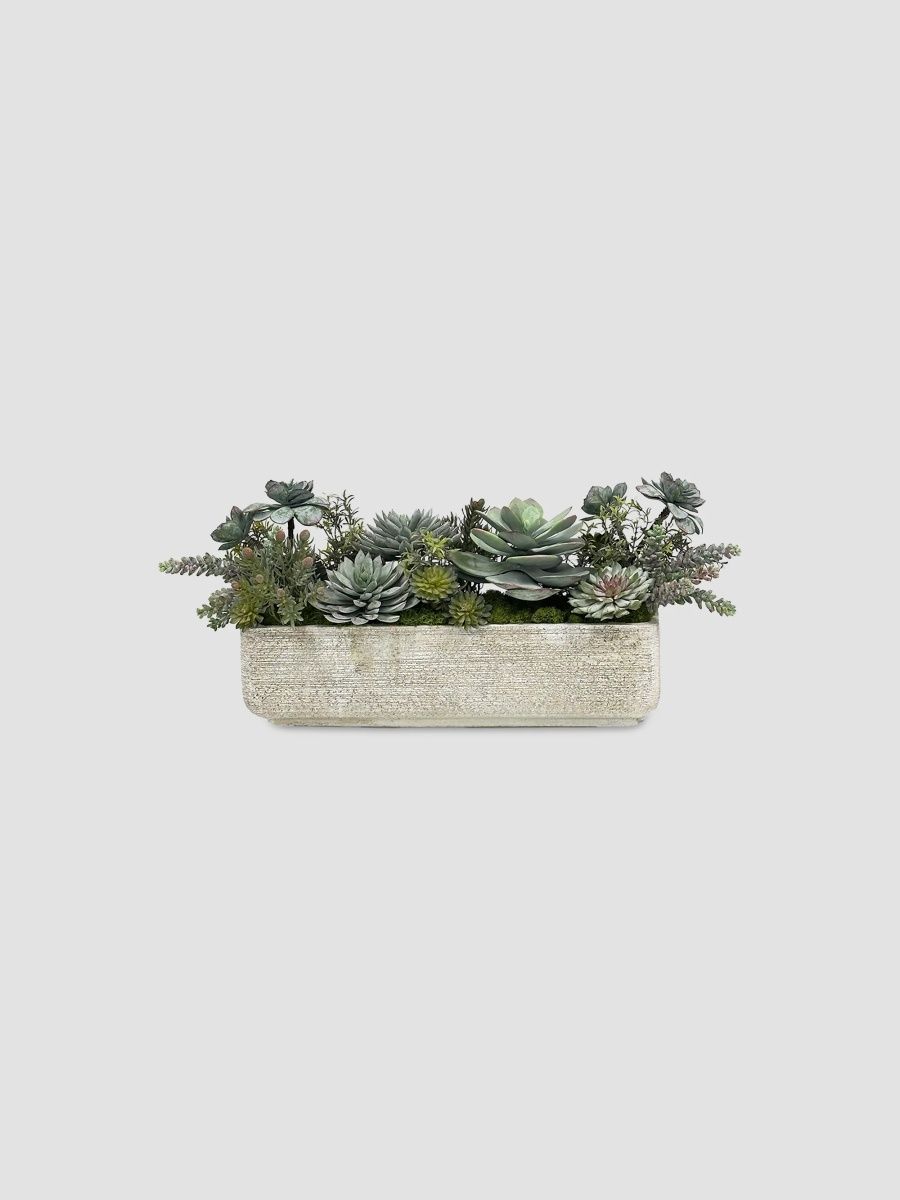 Winward Home Newness Faux Mixed Succulent Tray - Greyish Green