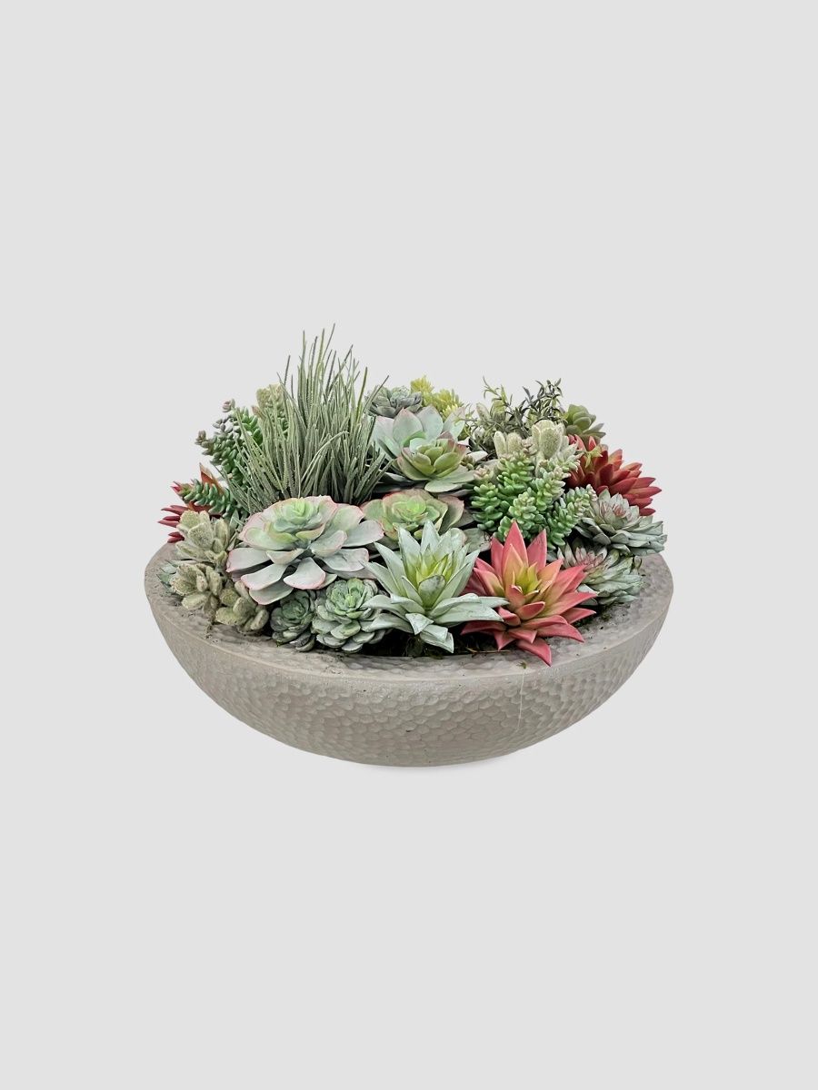 Winward Home Newness Artificial Mix Succulent Arrangement - Multi Color