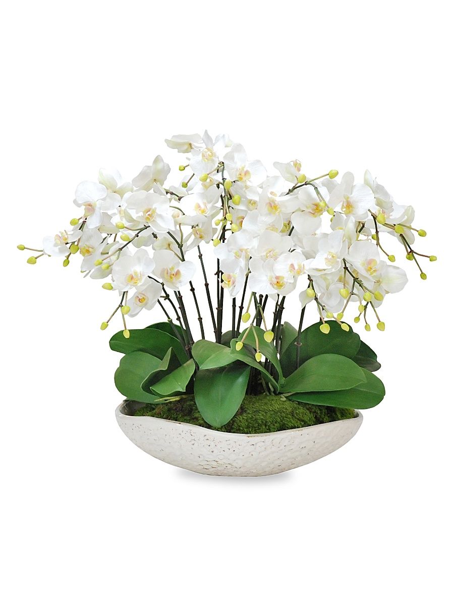 Everyday Floral White Orchids In Terracotta Bowl