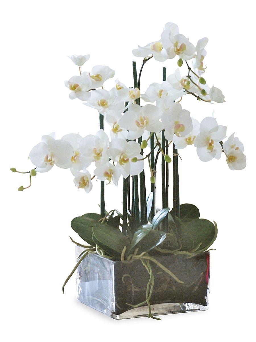 Everyday Floral Imitation Phalaenopsis In Square Vase