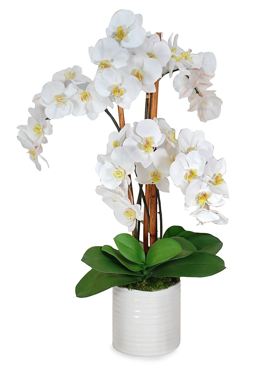 Everyday Floral Imitation Orchids In Urban Coil Bowl