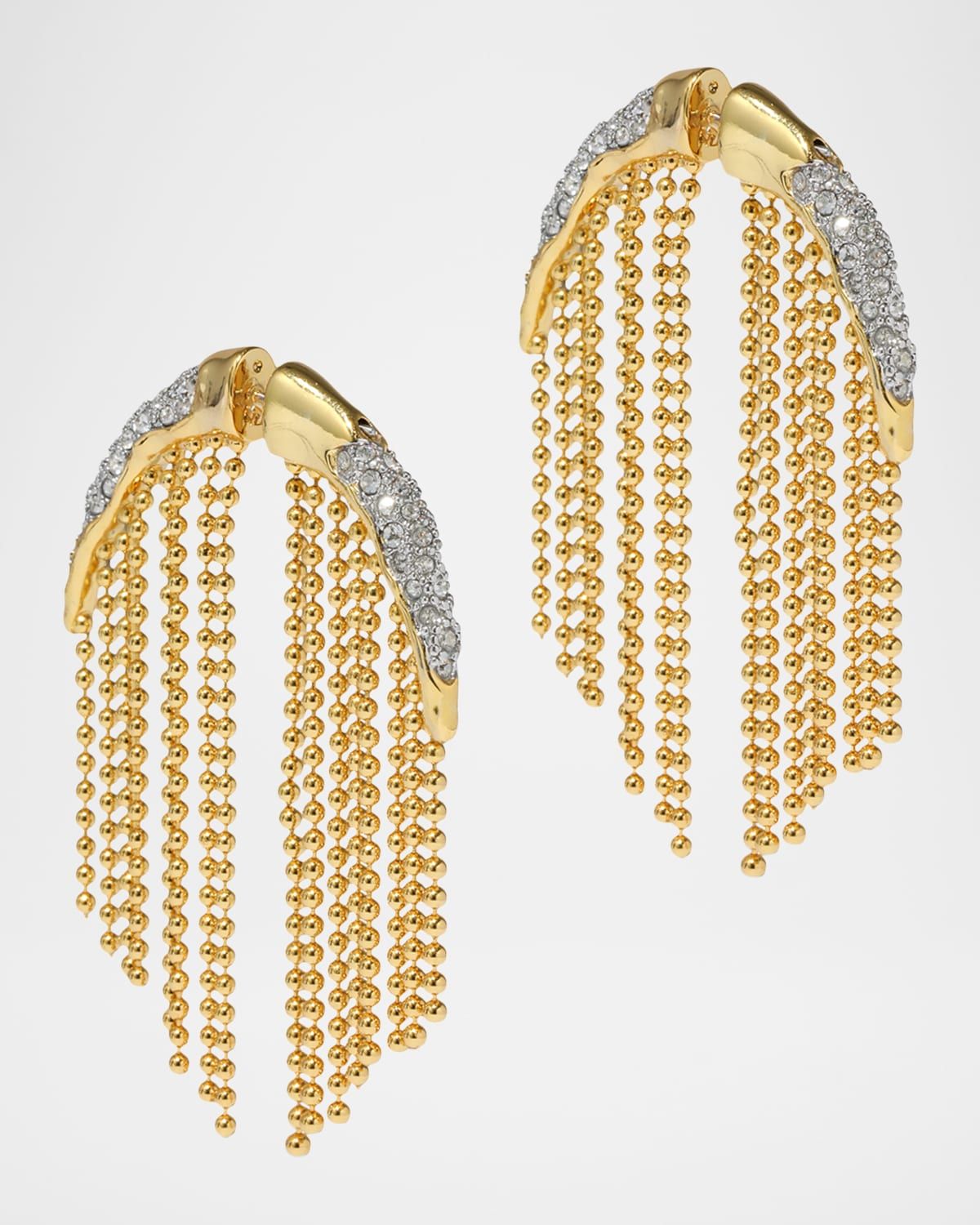 Solanales Crystal Fringe Front Back Earrings