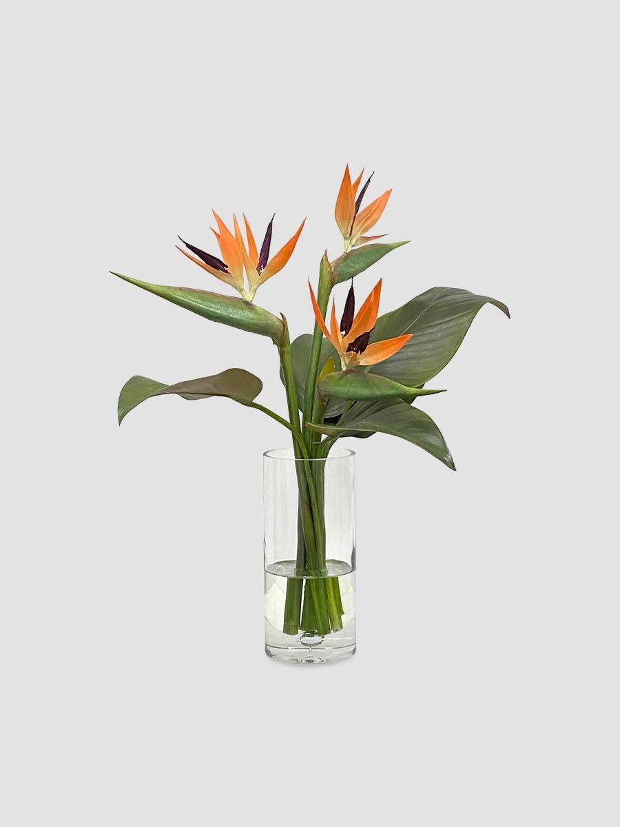 Winward Home Newness Artificial Birds Of Paradise Floral Arrangement - Orange