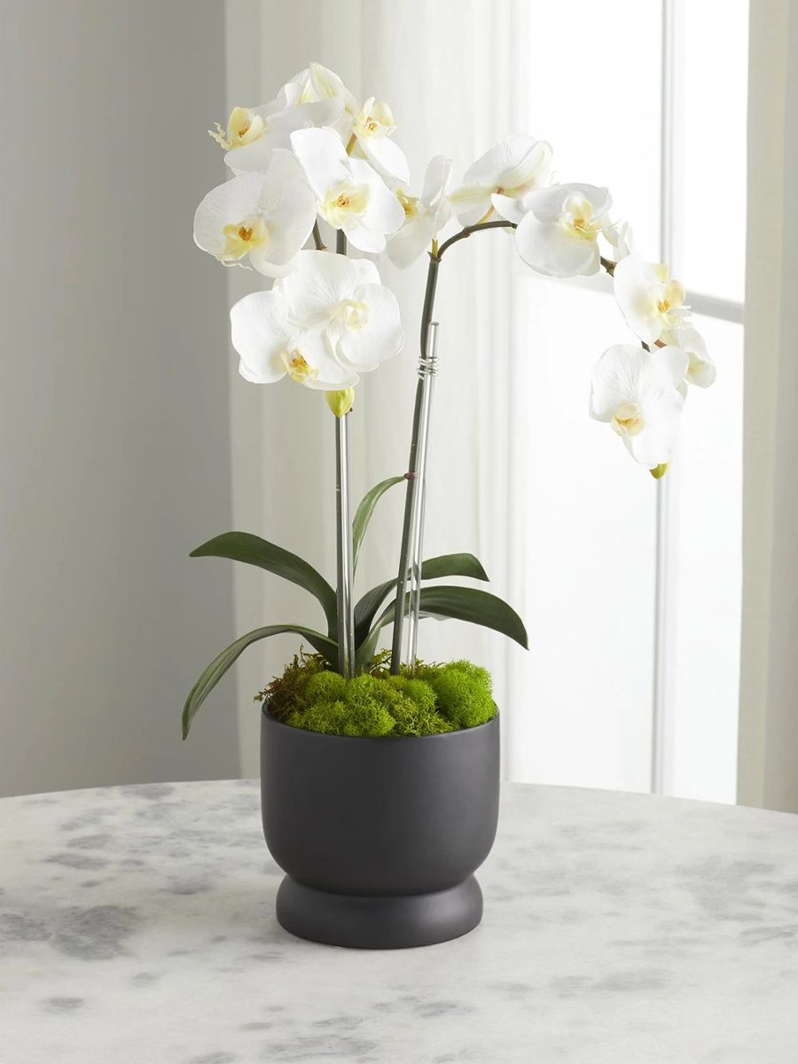 Artificial Double Orchid Arrangement - White