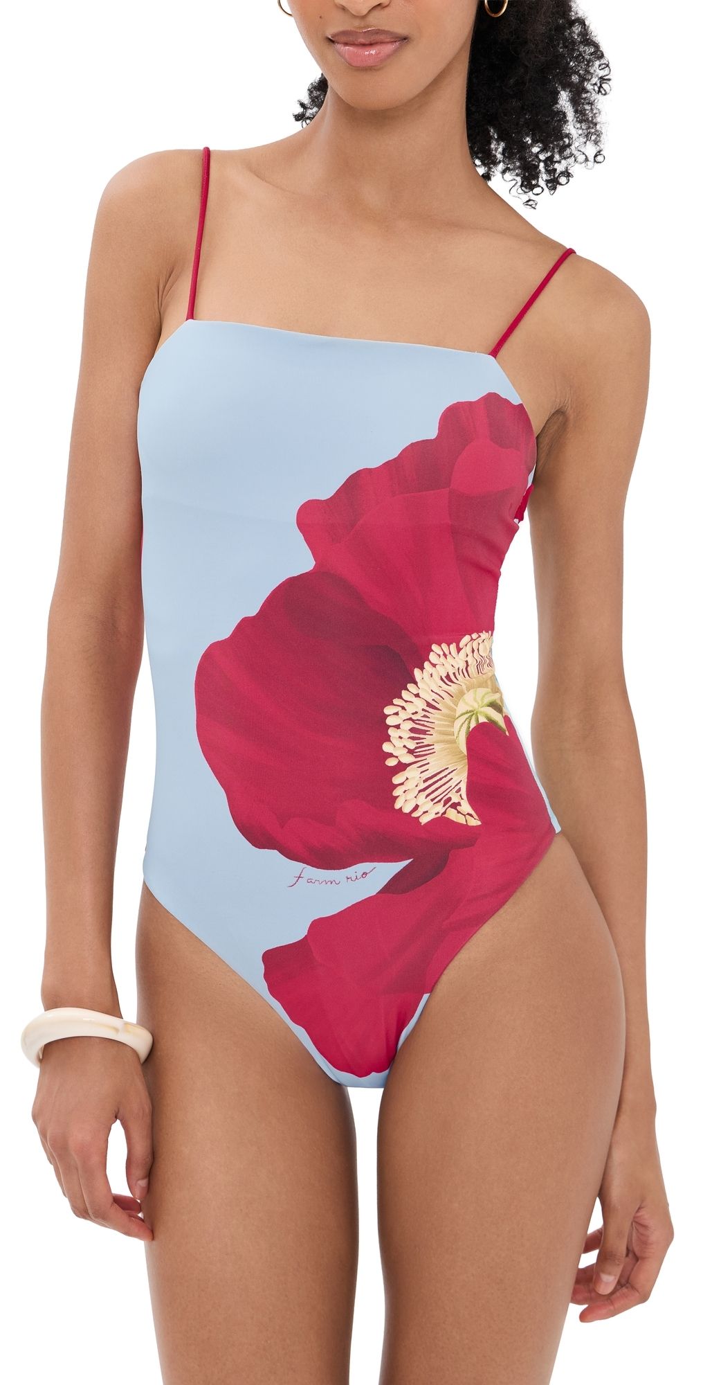 FARM Rio Full Cut Placed One Piece Swimsuit Poppy Flowers XL