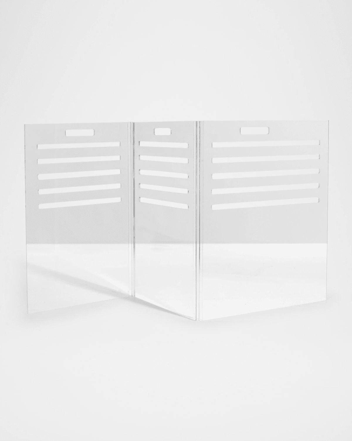 Small Clear View Pet Crate with Golden Latches