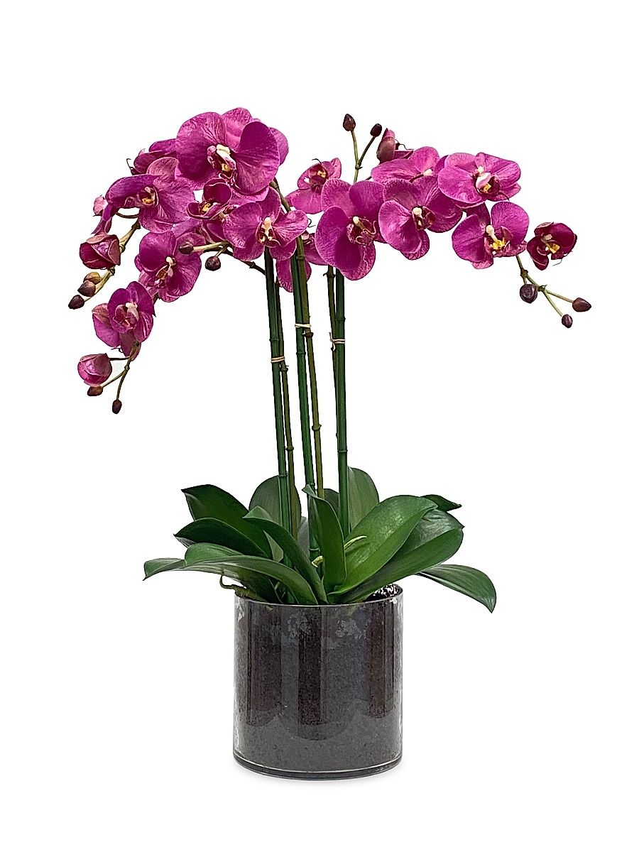 Faux Floral Orchid Phalaenopsis in Glass Vase - Fuchsia