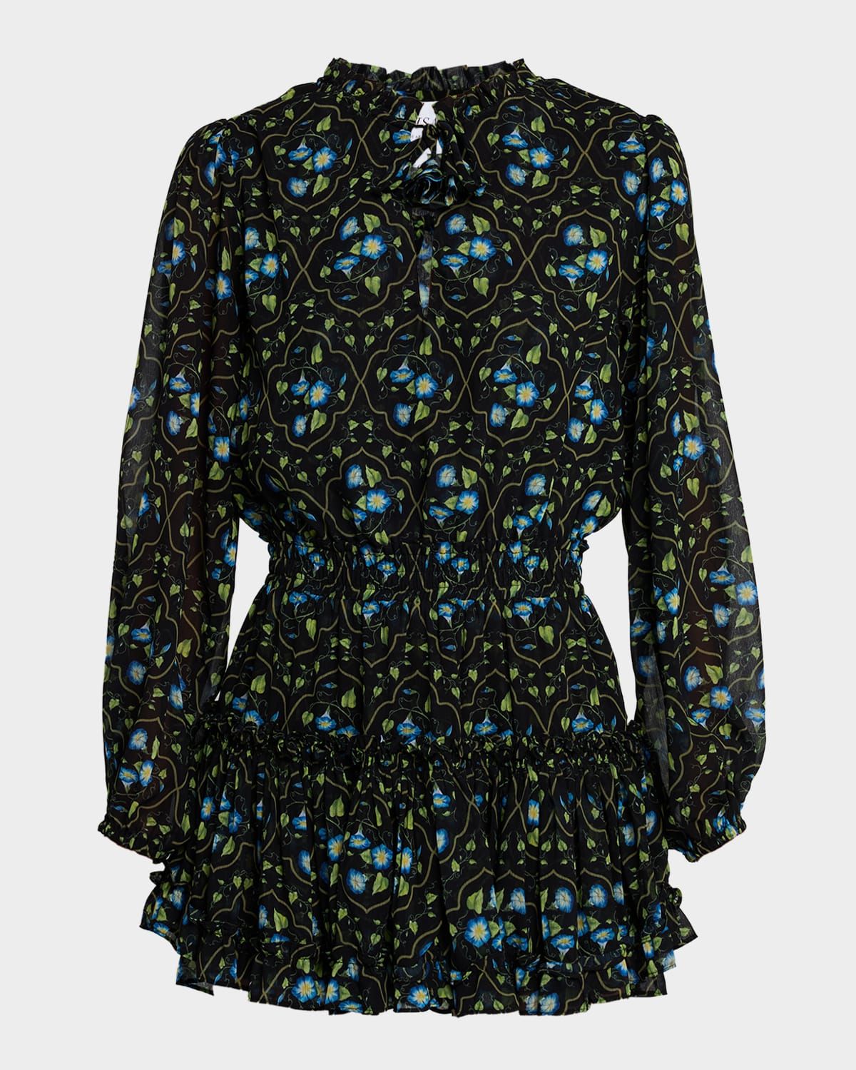 Lorena Morning Glory Lattice Chiffon Mini Dress