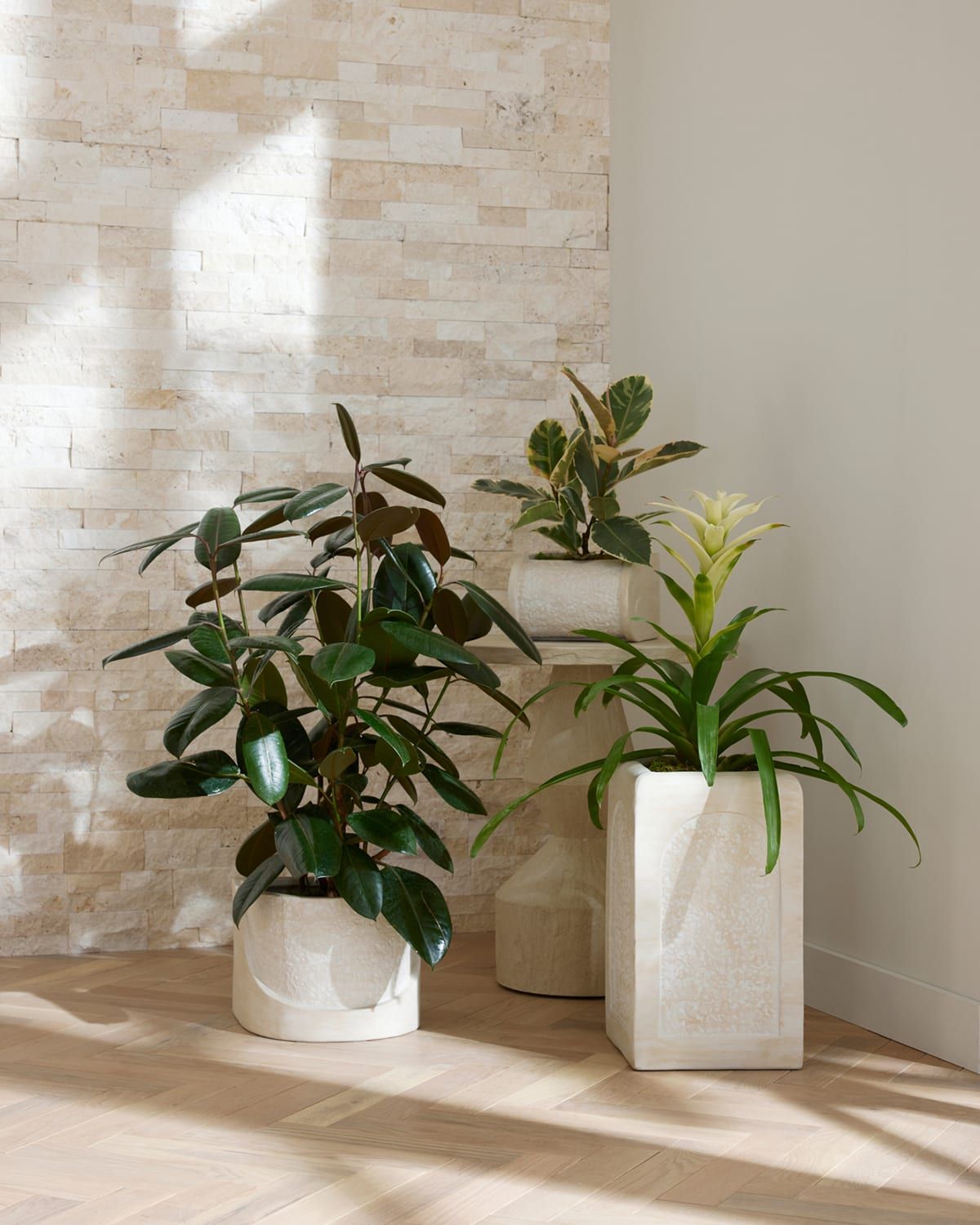 Callie Planters, Set of 3