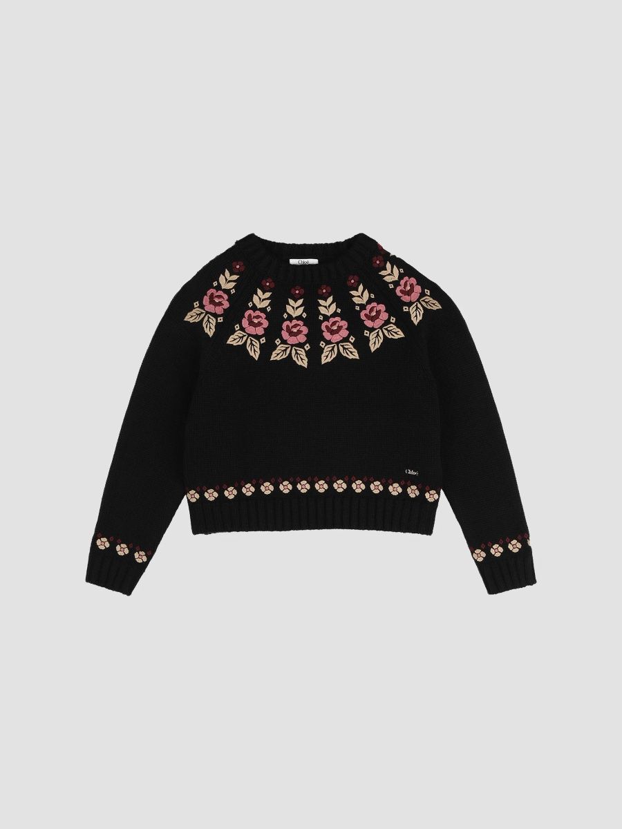 Girl's Little Girl's & Girl's Floral Embroidered Sweater - Black - Size 4