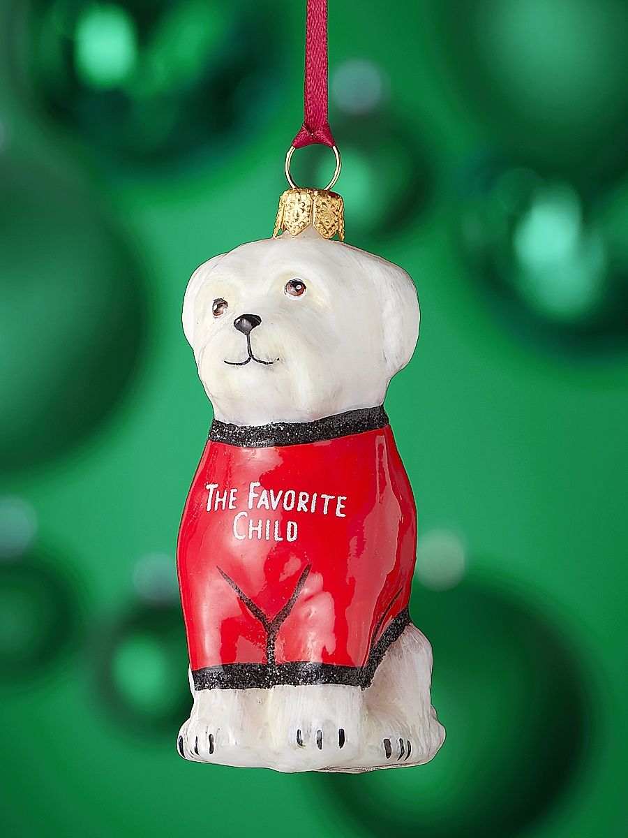 Custom Design Maltese in the Favorite Child Sweater Christmas Ornament