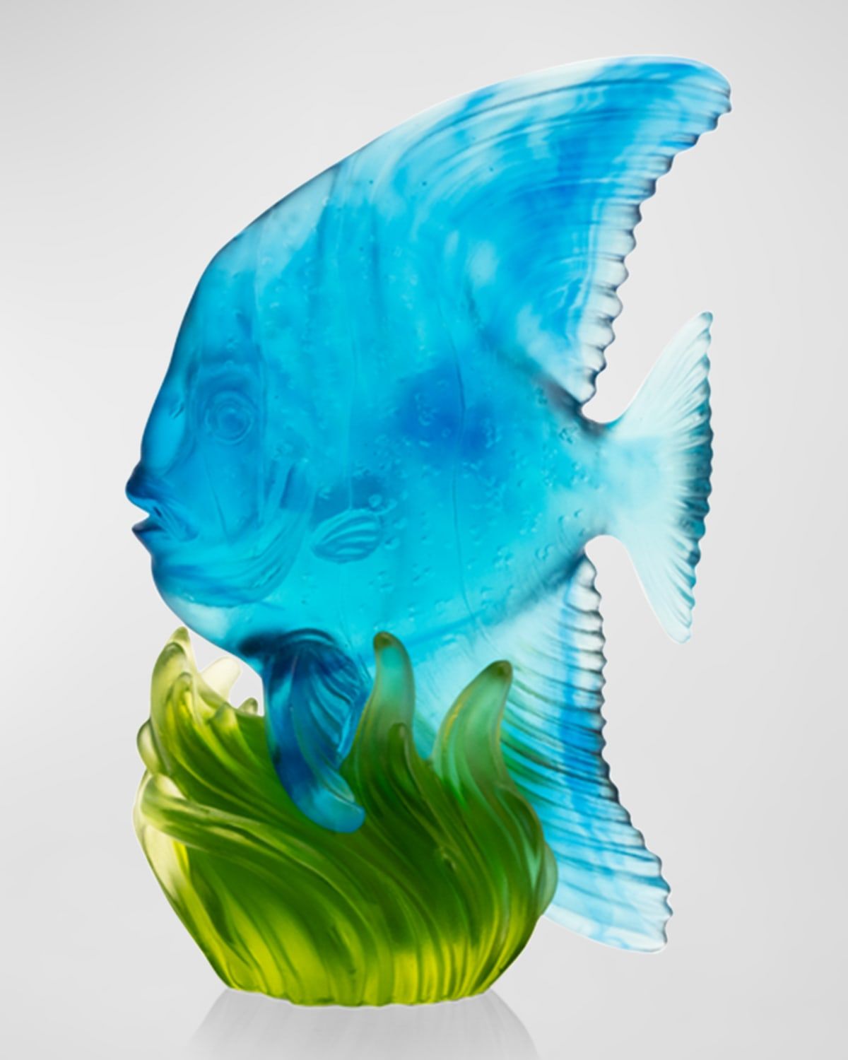 Maya Blue and Green Medium Platax Fish