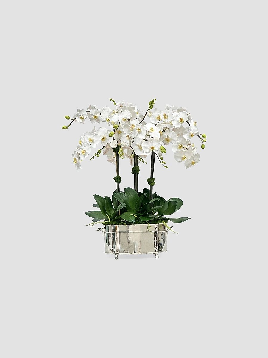 Everyday Newness Refresh Faux-Orchid Arrangement - White