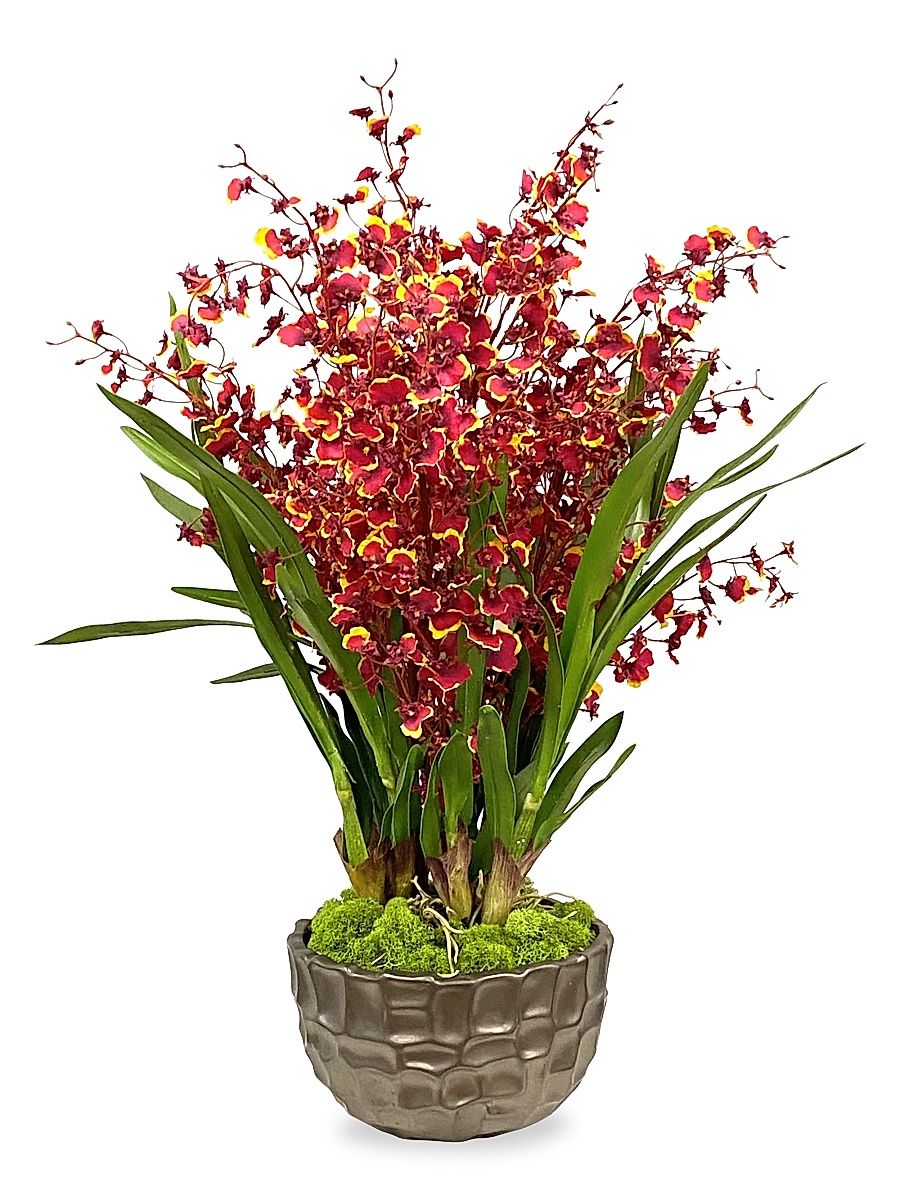 Permanent Botanicals Imitation Dancing Lady Orchid In Modern Bowl - Burgundy