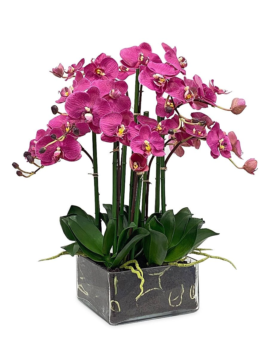 Faux Floral Phalaenopsis in Square Vase - Fuchsia