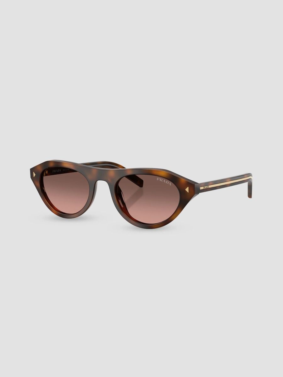 Prada Women's 51MM Round Sunglasses - Brown