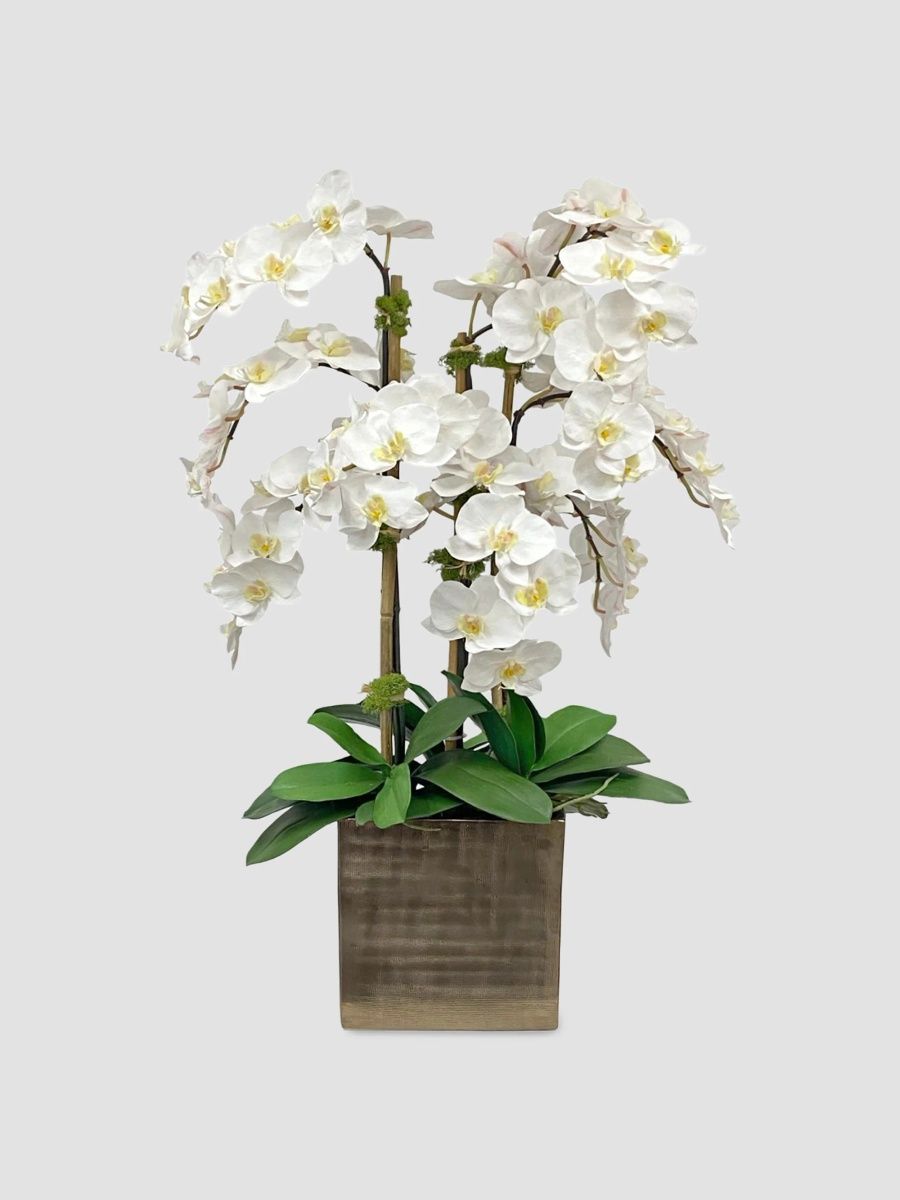 Winward Home Newness Artificial Orchid Floral Arrangement - White
