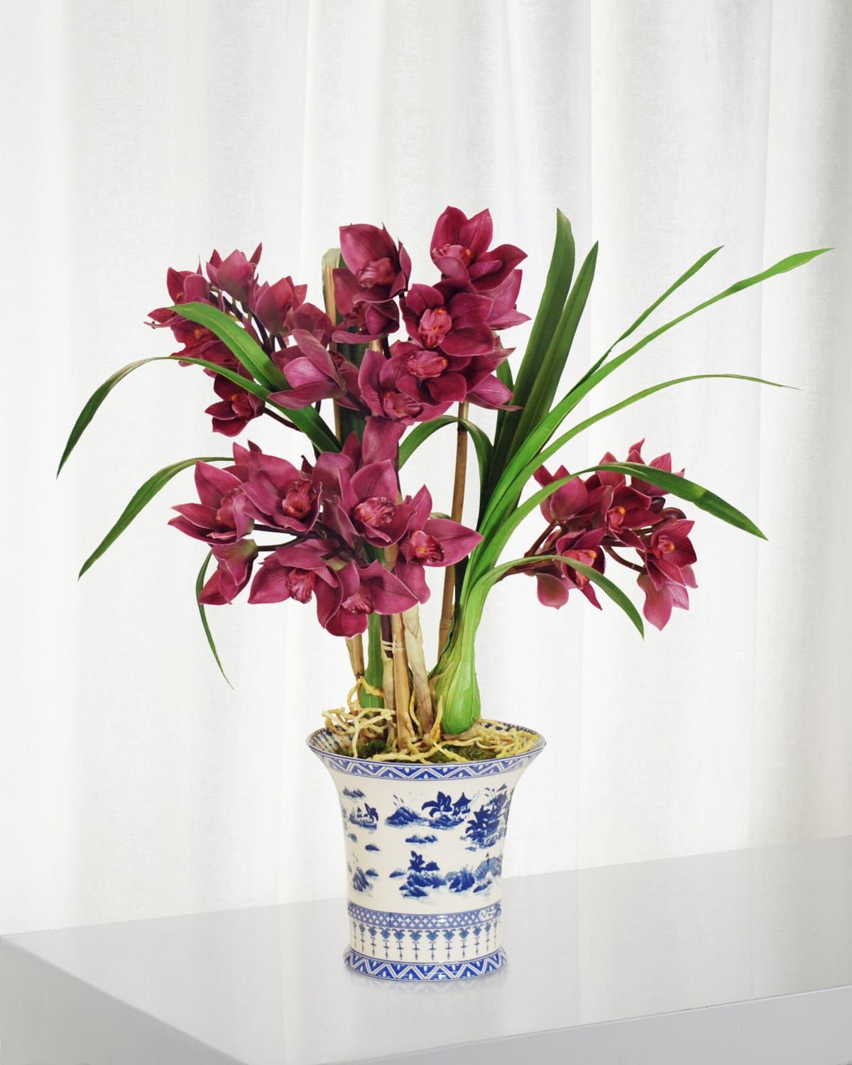 Cymbidium in Oval Planter