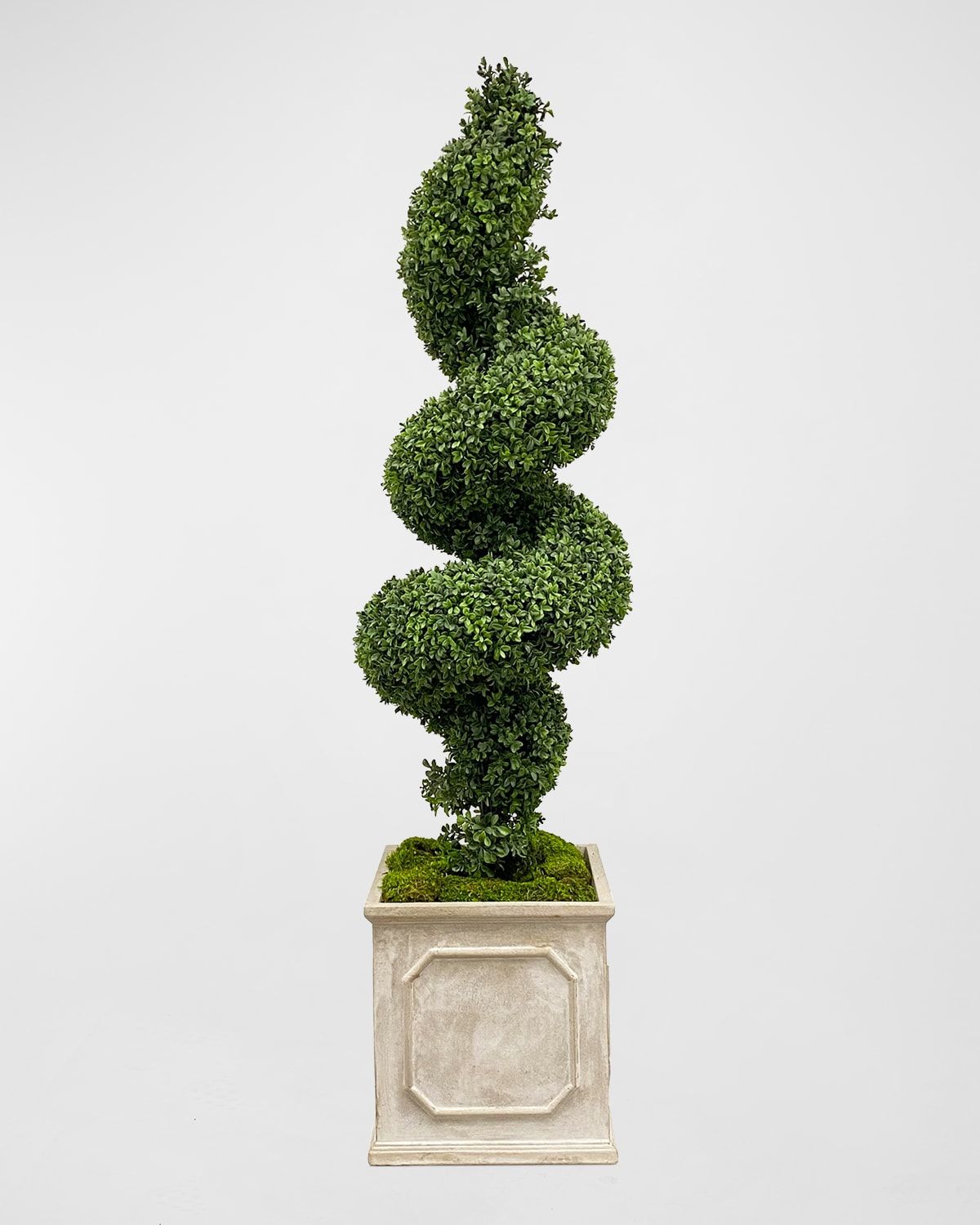 Spiral Boxwood Faux Topiary in Square Planter - 65"