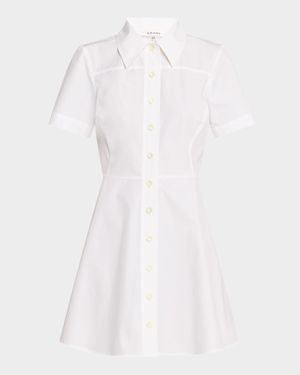 The Flare Mini Dress