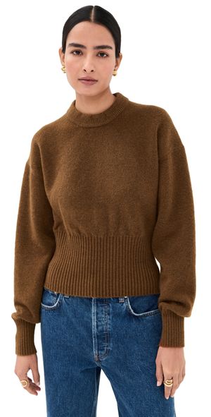 Proenza Schouler Randi Top In Boiled Wool Brown S